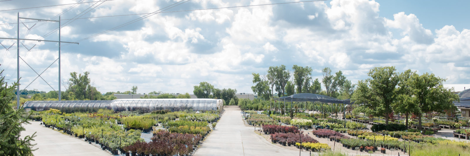 Nursery Yard Senior Team Leader Mulhall's