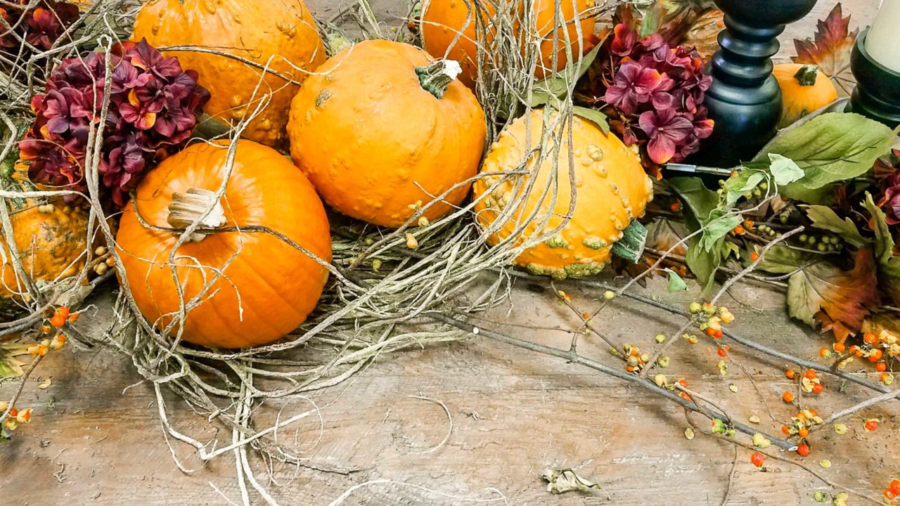 Decorating with Pumpkins and Other Fall Favorites : Mulhall's