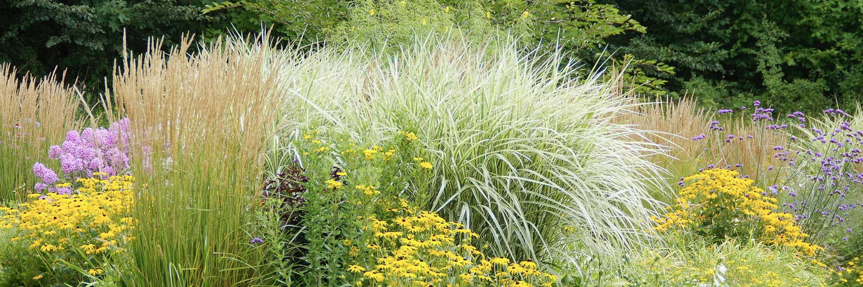 Join Us For Landscape Planning Mulhall's