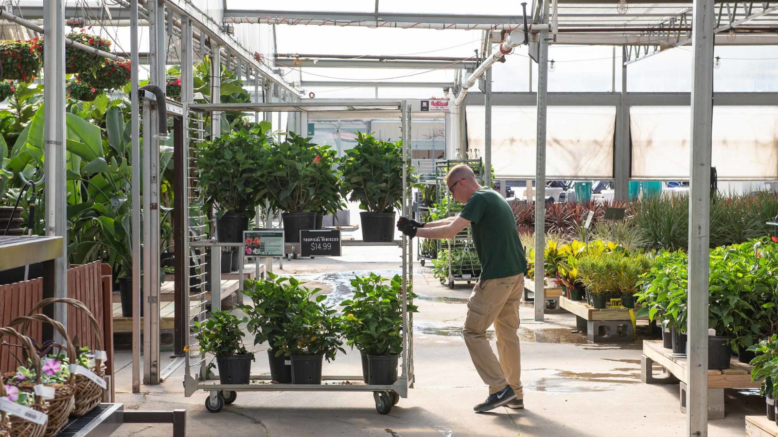 What We’re Really About Mulhall's