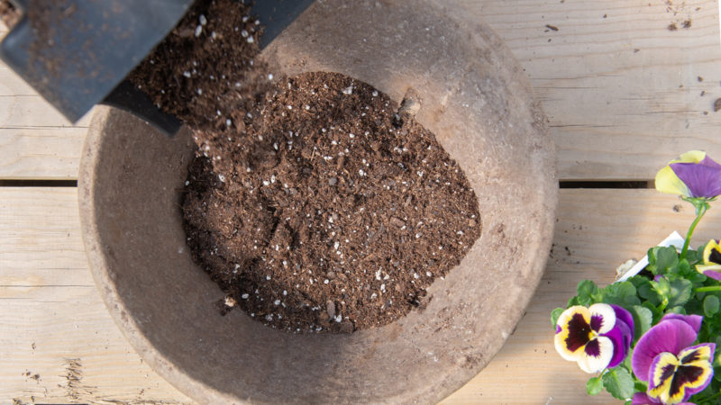 How to Design a Spring Container | Mulhall's