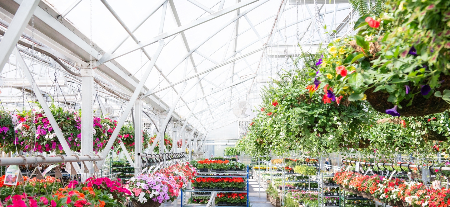 Mulhall�s Nursery Omaha Garden Center &amp; Landscaping Services