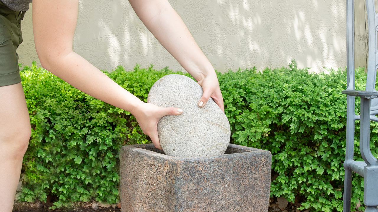 Tips for Planting in Windy Spaces Mulhall's