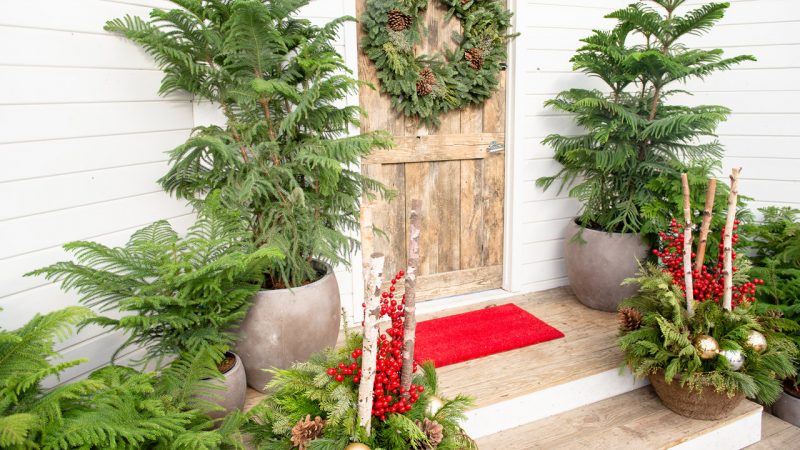 3 Easy Steps to a Festive Holiday Doorstep | Mulhall's