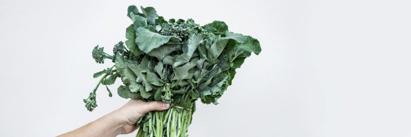 plants give preferential treatment plants give preferential treatment