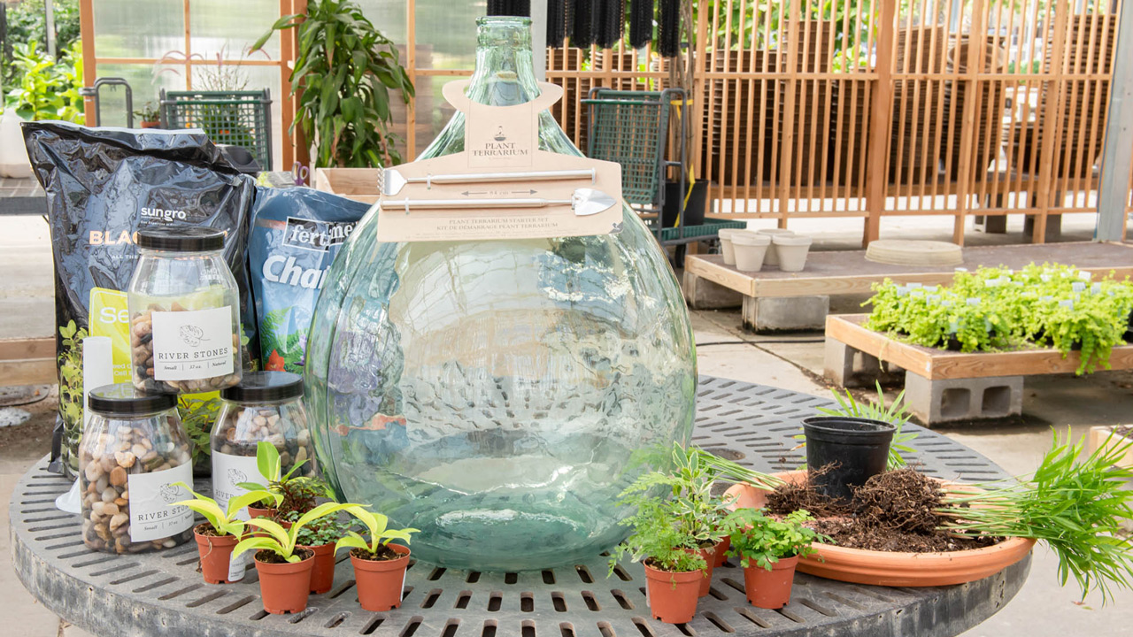 How to Build a Bottle Garden, Bottle Garden Guide