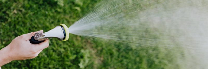 Tips for Watering Your Landscape in the Fall + Winter : Mulhall's