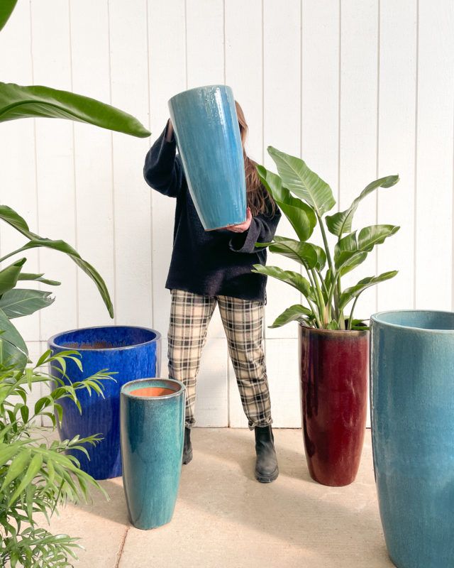 Pots: A variety of options for your plants