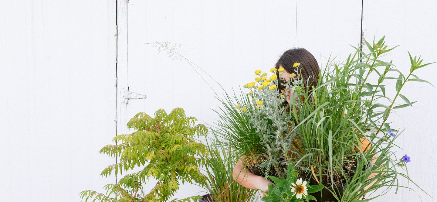 Mulhall's Nursery Garden Center & Landscaping Services