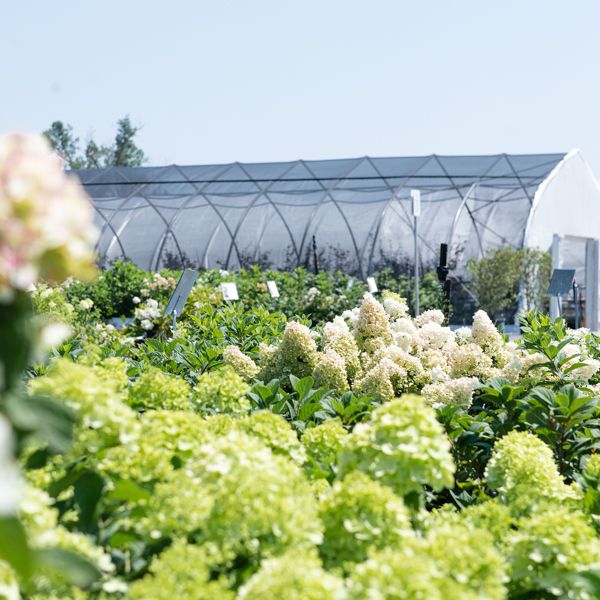 Garden + Home Store in Omaha, NE Mulhall's