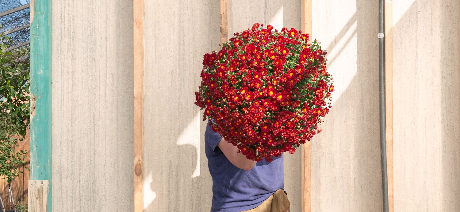 Mulhall's Nursery Garden Center & Landscaping Services