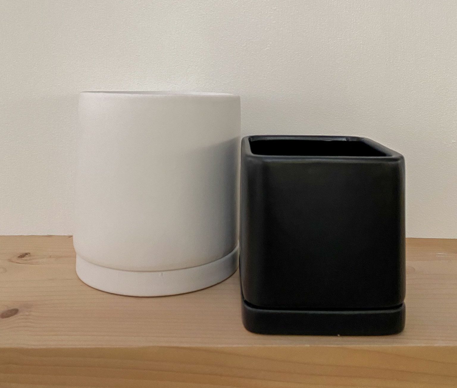 Current Promotions Garden And Plant Sales Mulhall's