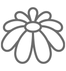 Flower Icon
